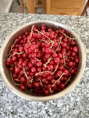 Eine Schüssel mit roten Johannisbeeren